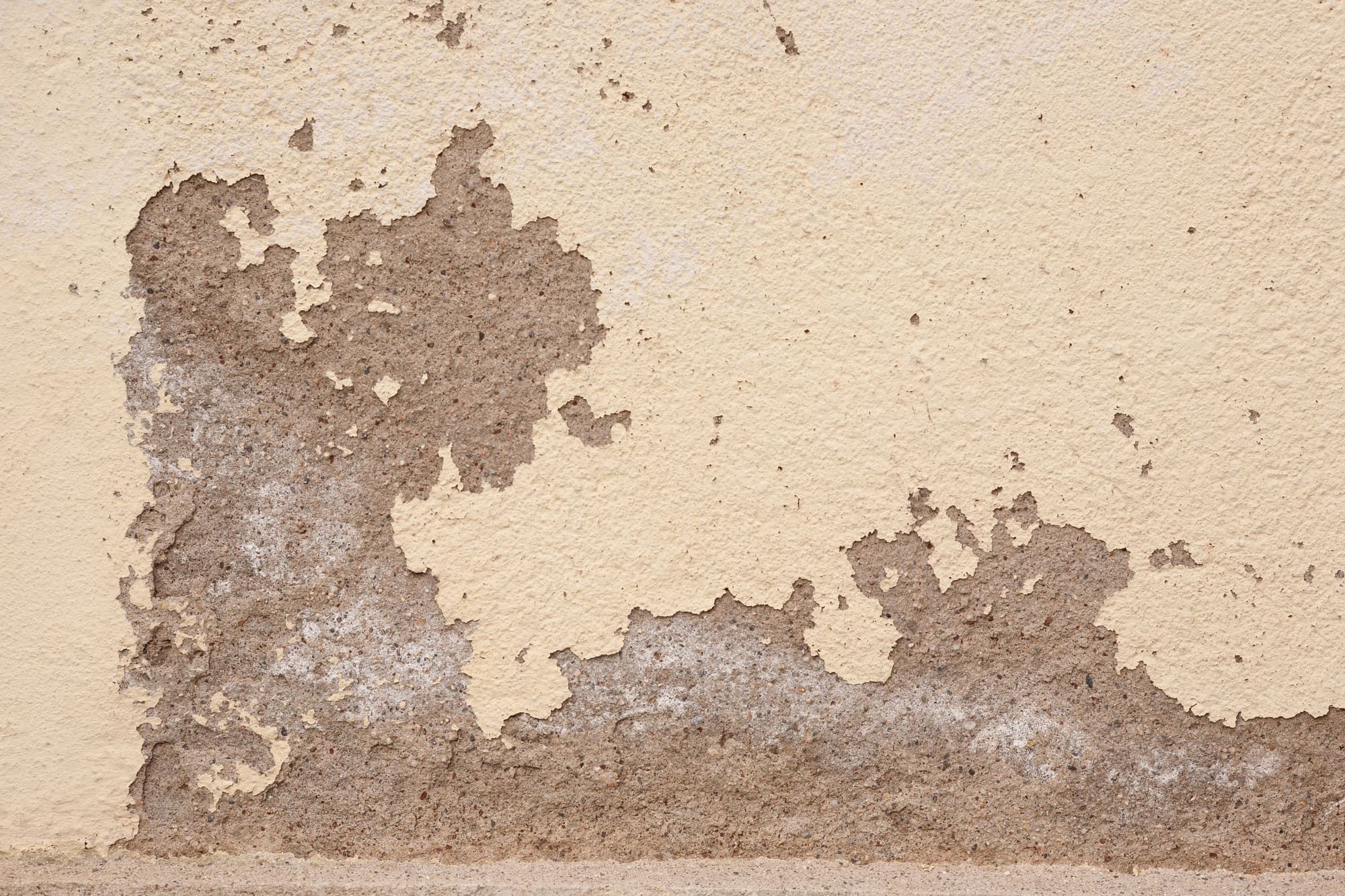 Cream stucco finish coat flaked away in large patches near the bottom of a wall, exposing the sandy brown base coat with white salt deposits on it